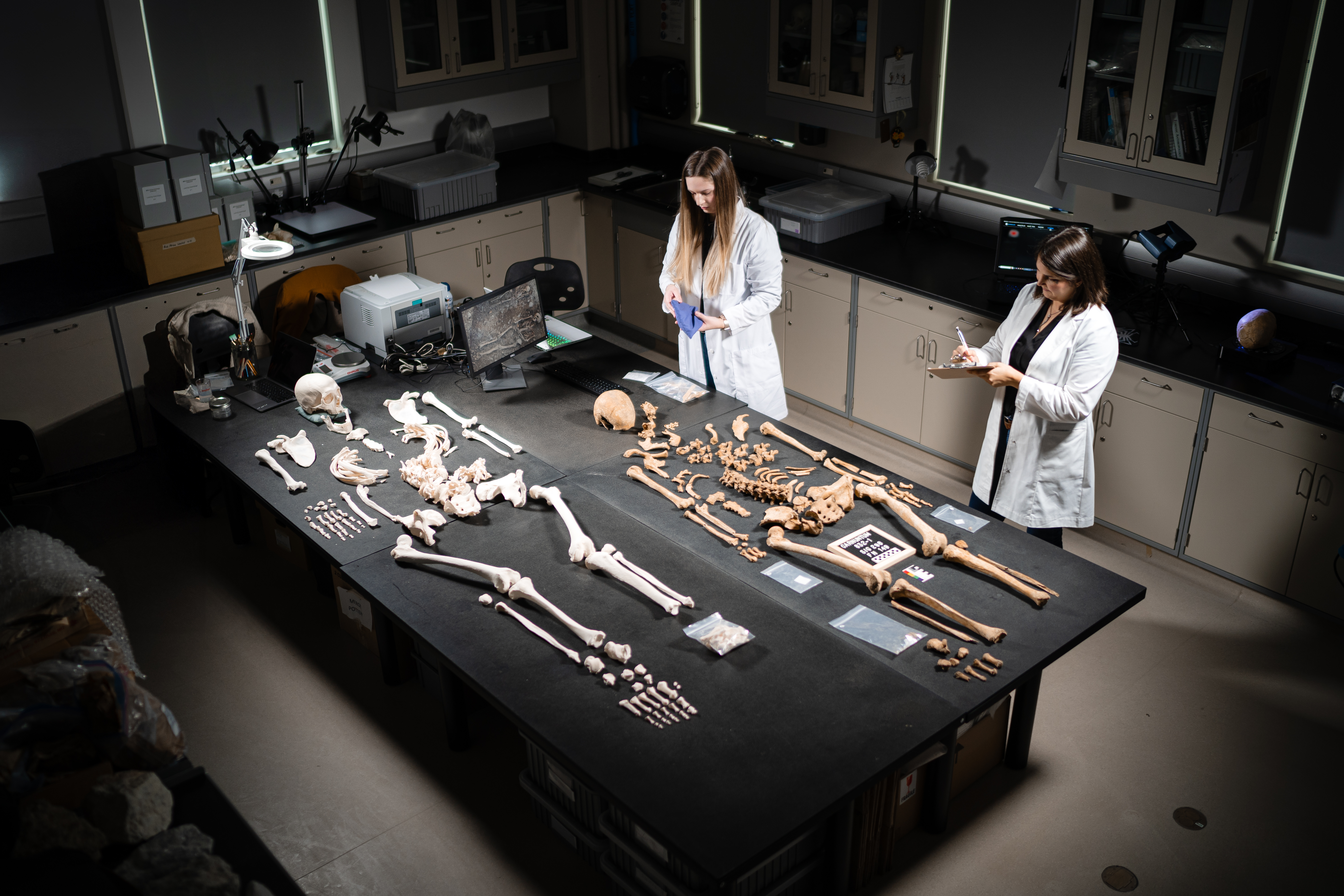 an overview of a technicians taking notes over two skeletons